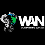 World Animal News